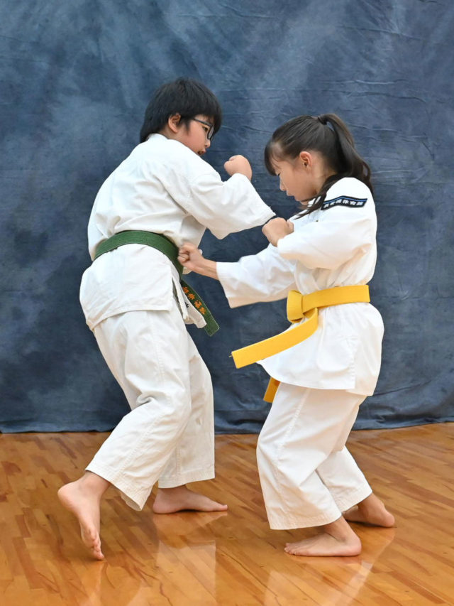 少林寺拳法の技「内受突」