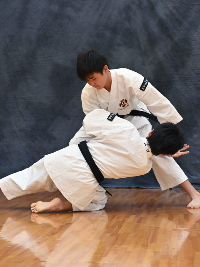 少林寺拳法の技「上受投」